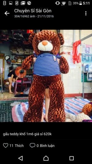 Gấu 160cm, giá sỉ 620k