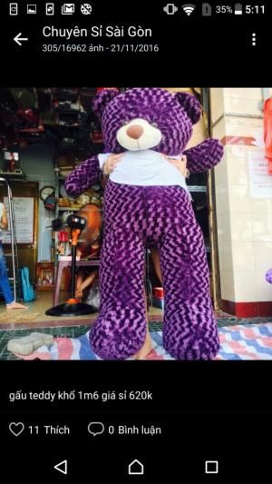 Gấu 160cm, giá sỉ 620k