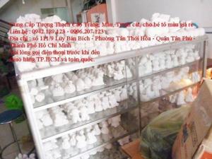 Bán Tranh Cát - Tượng Thạch Cao Tô Màu Cho Trẻ Em Tô