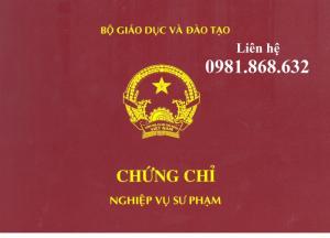 Đào tạo Nghiệp Vụ Sư Pham CHứng Chỉ Đại Học Sư Phạm tại Hồ Chí Minh và Toàn Quốc