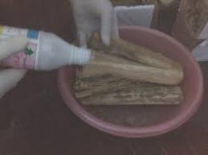 Bộ hộp nhử và thuốc diệt mối tận gốc