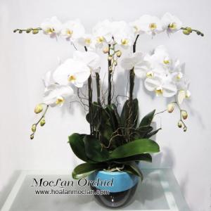 Hoa Lan Mộc Lan-Dịch vụ điện hoa chuyên nghiệp với công nghệ Giftcode