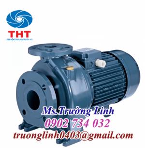 Máy bơm ly tâm trục ngang đầu gang Ebara 3D 32-125/1.1