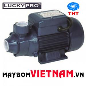 Máy bơm nước gia đình Lucky Pro MKP60-1 0.5HP