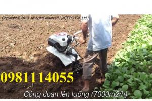 Máy làm đất đa năng trâu vàng giá rẻ nhất