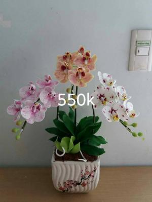 Hoa lan hồ điệp làm bằng đất sét giá 500 nghìn
