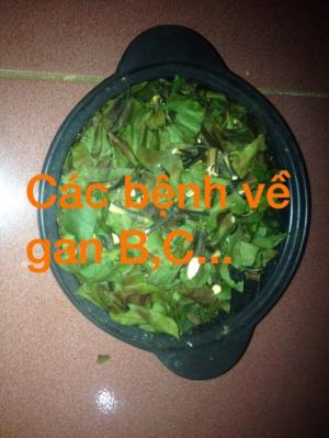 Hỗ trợ cho người bị dạ dầy sỏi thận