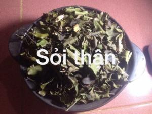 Hỗ trợ cho người bị dạ dầy sỏi thận