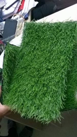 Cỏ nhân tạo trang trí khuôn viên, sân vườn