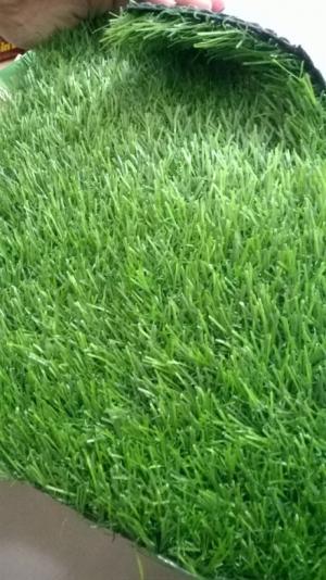Cỏ nhân tạo trang trí khuôn viên, sân vườn