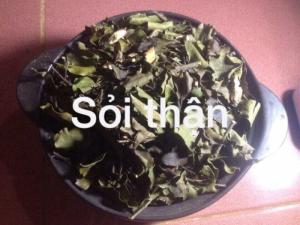Thực phẩm chức năng hỗ trợ dứt điểm bệnh dạ dầy sỏi thận và gan