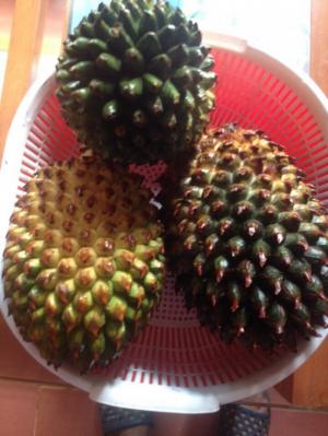 Thực phẩm chức năng hỗ trợ dứt điểm bệnh dạ dầy sỏi thận và gan