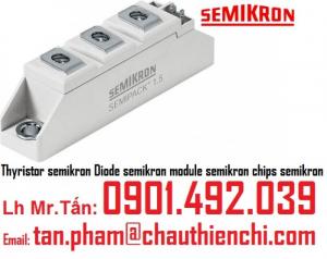 Semikron Biến Tần, Chỉnh Lưu,IGBT Modules