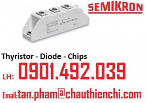 Công Ty Cung Cấp Semikron Thyristor dick diode biến tần