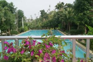 hồ bơi khu nghỉ dưỡng sunset villas