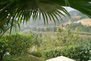 bao quát khu nghỉ dưỡng sunset villas