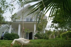 Sunset Villas & Resort Tâm Điểm Nghỉ Dưỡng Ven Đô 2017