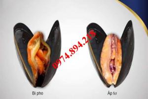 Chữa Viêm Nhiễm, Nấm Lộ Tử Cung, Làm Hồng Se Khít Âm Đạo, Tắc Vòi Trứng, Lậu, Sùi Mào Gà....