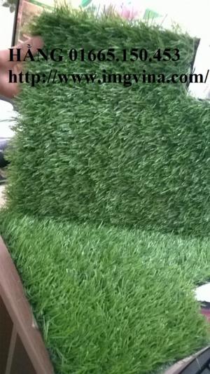 Cỏ sân vườn 3cm