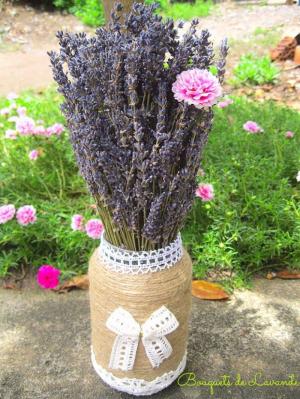 Hoa lavender provence_pháp