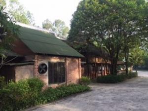 tấm lợp sinh thái
