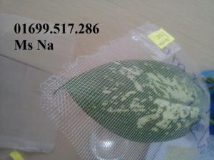 Lưới chắn côn trùng vườn ươm