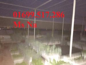 Lưới chắn côn trùng vườn ươm