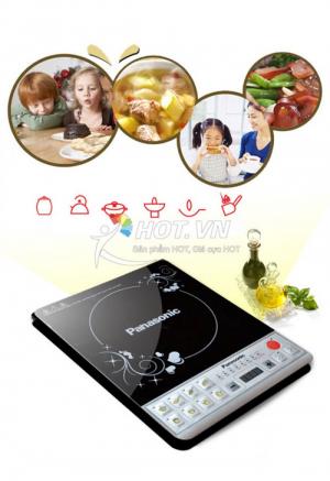 Bếp từ Panasonic DH129T
