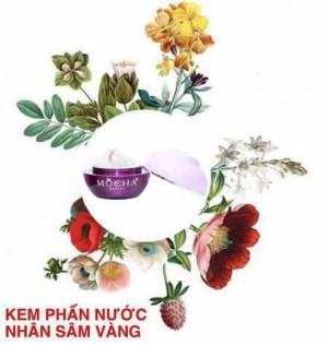 Kem phấn nước nhân sâm hàn quốc