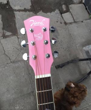 Mua đàn guitar màu hồng cho con gái