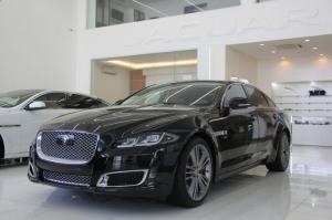V8 5.0L 550hp