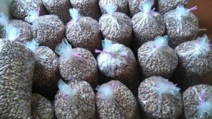Chuyên cung cấp Hạt Điều Rang Muối Tại Hải Phòng