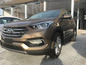 Ưu đãi víp khi mua Santafe full dầu.