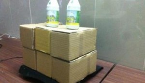 Bộ Diệt Mối Tận Gốc
