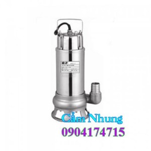 Máy bơm hút bùn inox Giếng Nhật WQD 4-10/0.75 1HP