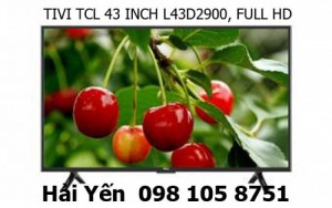 Bán buôn bán lẻ TIVI TCL 43 INCH L43D2900, FULL Hd giá gốc tại kho
