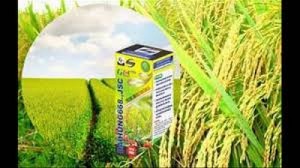 Phân bón sinh học công nghệ nano goldtech g05- chuyên cho cây lúa