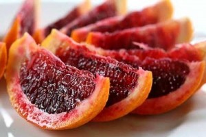 Chuyên cung cấp giống cây cam máu, cây giống cam máu, giống cam chất lượng cao