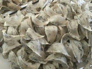 Tổ yến tự nhiên 100℅ chất lượng