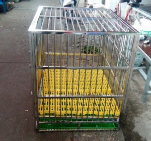 Chuồng Chó Inoc Lắp Ghép Xuất Khẩu KT1048498