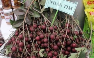 Giống nhãn tím, nhãn ruột tím, cây nhãn giống ruột tím,giống cây nhãn