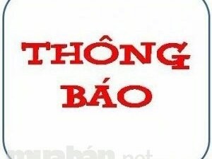 Tuyển gấp nhân viên bán hàng tại siêu thị