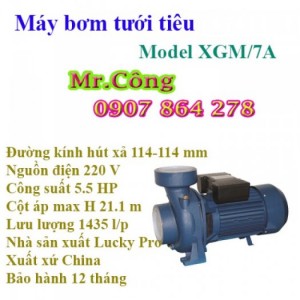 Máy bơm tưới cà phê Lucky Pro XGM/7A 5.5HP