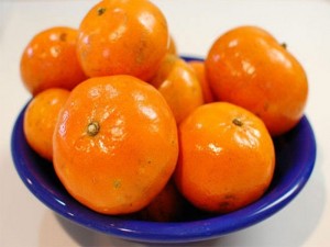 Chuyên cung cấp giống quýt đường thái lan, quýt thái lan, quýt đường, quýt thái lan, quýt thái