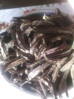 Mua bán hạt đậu rồng