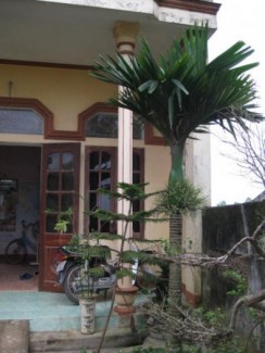 thực trạng ngôi nhà.