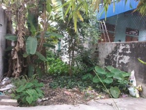 Bán đất 72,5m4 tại xã Mỹ Xá - Tp Nam Định