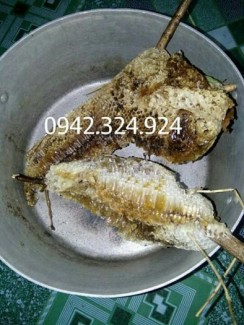 Mật ong rừng U Minh nguyên chất