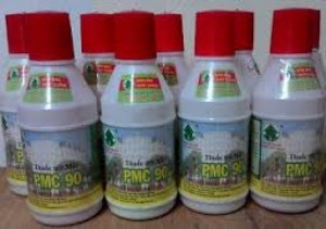 Thuốc diệt mối pmc90 diệt tận gốc các tổ mối trong công trình