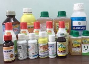 Thuốc diệt côn trùng brightan 10sc